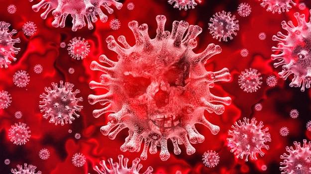  Thursday marks 6 months since the WHO declared the coronavirus an international health emergency