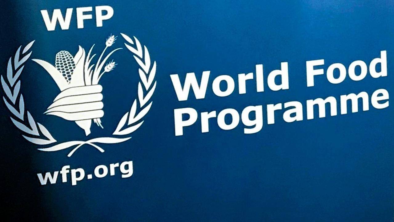 The UN's World Food Programme wins Nobel Peace Prize 