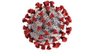 In the vaccine race, we either win together or lose together