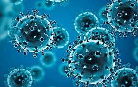 WHO calls for further studies, data on origin of SARS-CoV-2 virus, reiterates that all hypotheses remain open