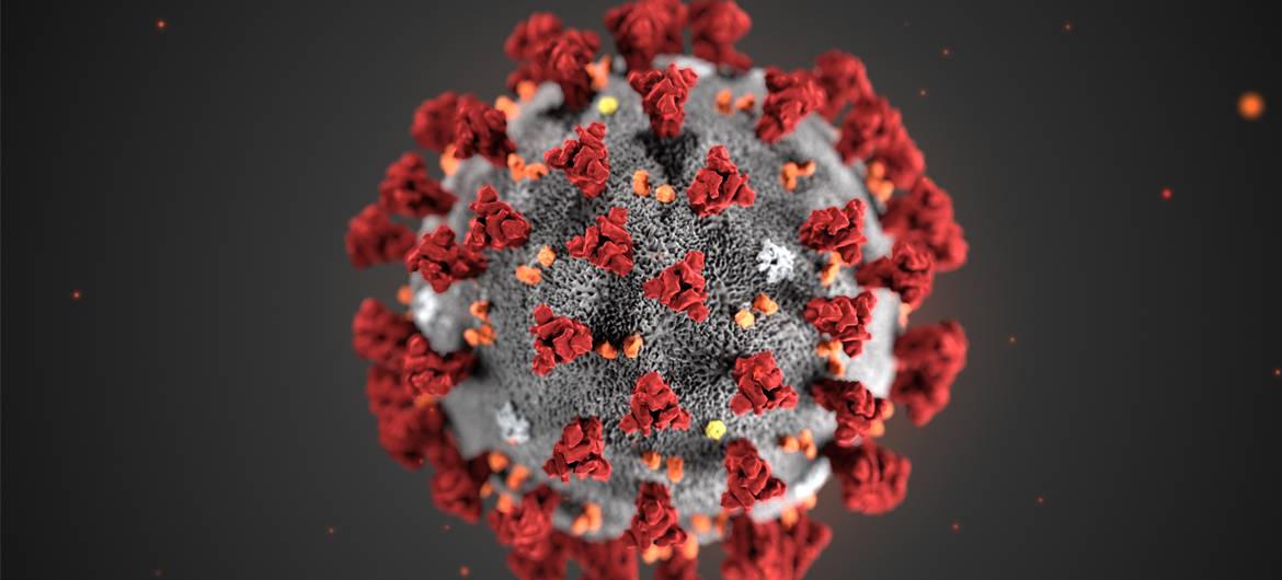 Virus origins report inconclusive: We must ‘leave no stone unturned’ – WHO chief