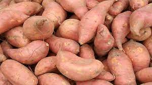 	CDB supports sweet potato value chain project 