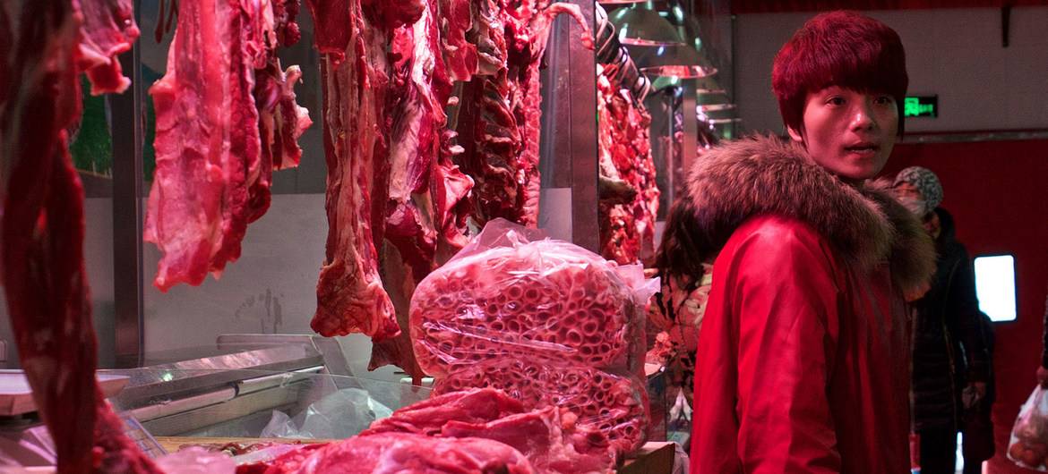 WHO and partners urge countries to halt sales of wild mammals at food markets 