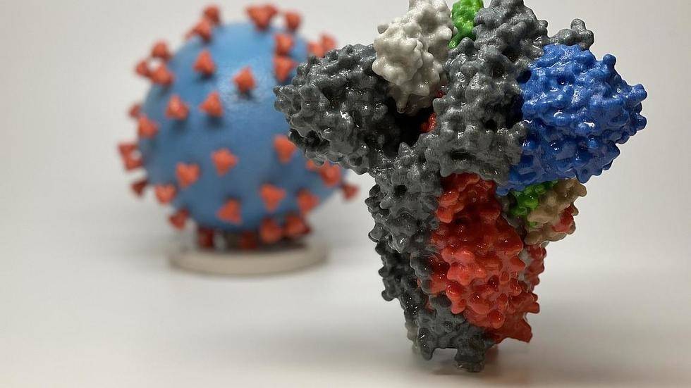  Coronavirus cases in the Caribbean to date: 95,347 
