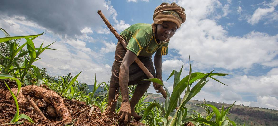 Annual report: Pandemic recovery must be measured in ‘human rather than economic terms’