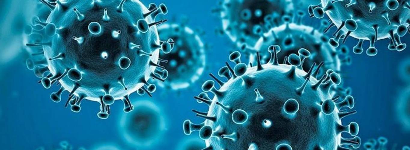 The pandemic is disrupting mental health services in most countries, WHO survey