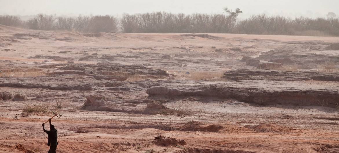 UN builds momentum for restoring forests as world enters key decade for ecosystems 