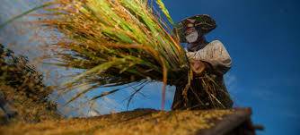 2021: Critical year to ‘reset our relationship with nature’ – UN chief 