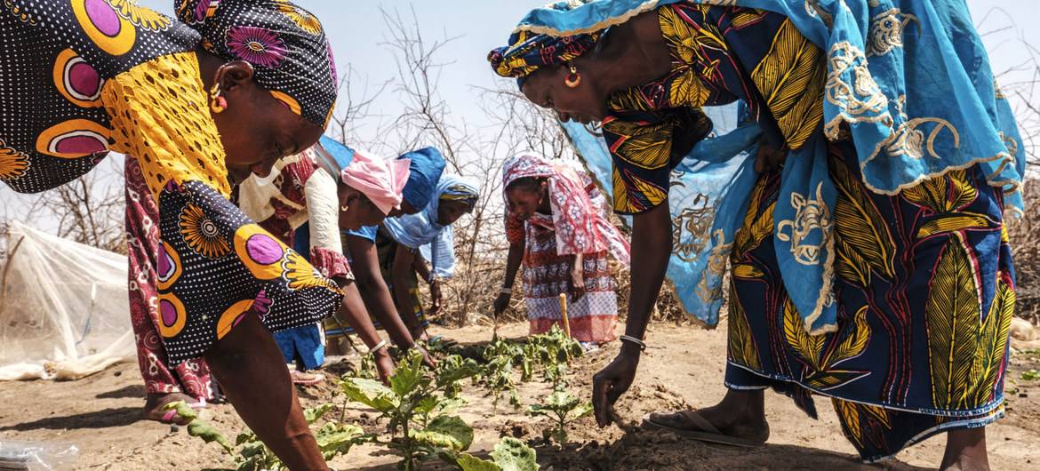 More climate action needed during ‘make-or-break year’ for people and planet 