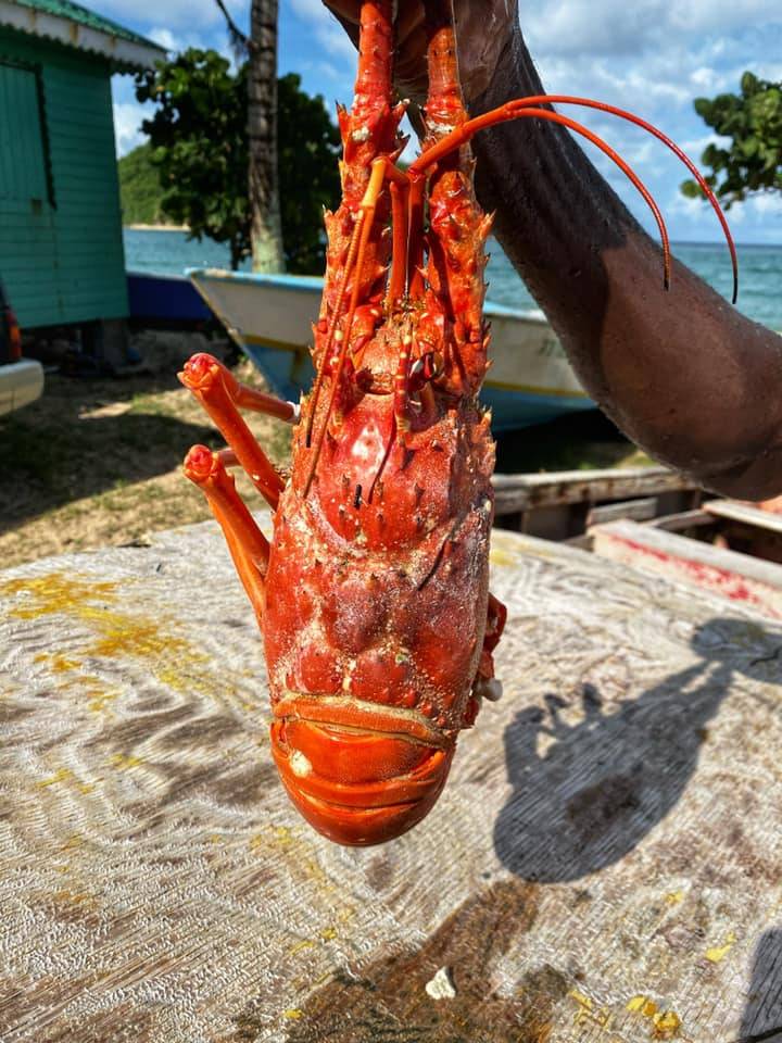 Beautiful Grenada