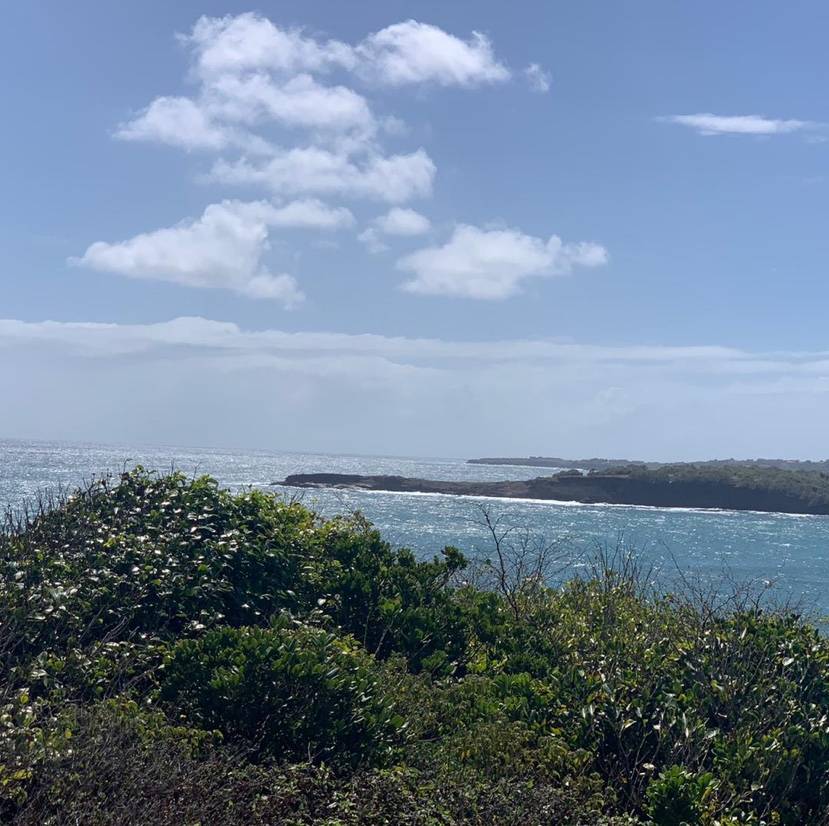Beautiful St. David