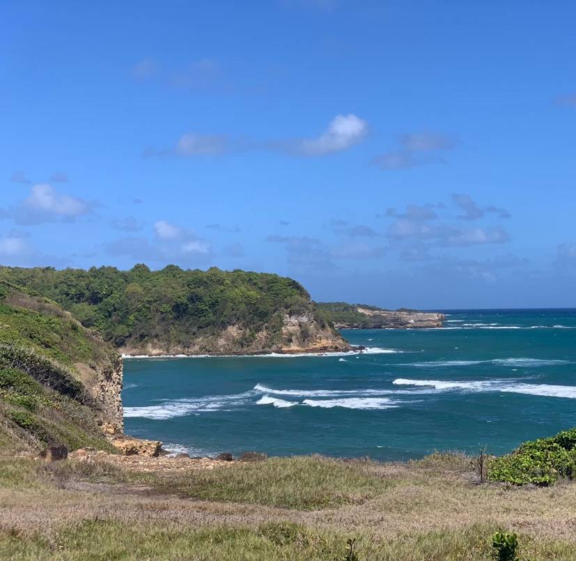 Beautiful St. David