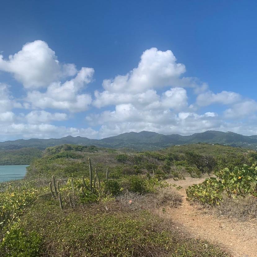 Beautiful St. David