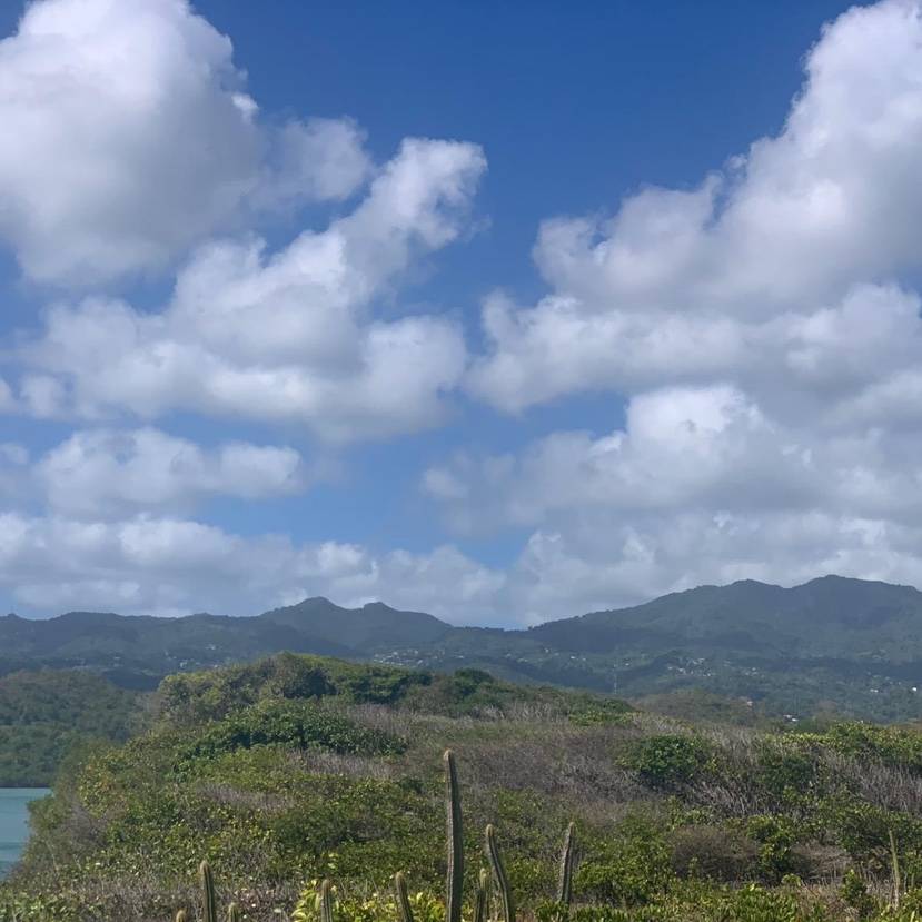 Beautiful St. David
