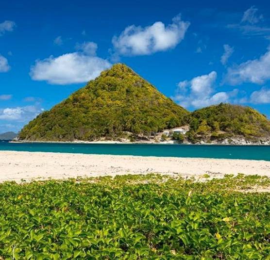 Pure Grenada