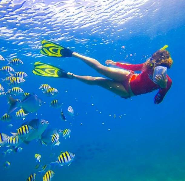 Pure Grenada 