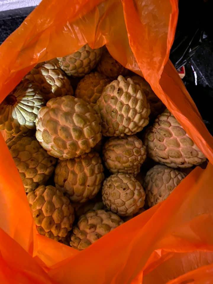 Sugar apples