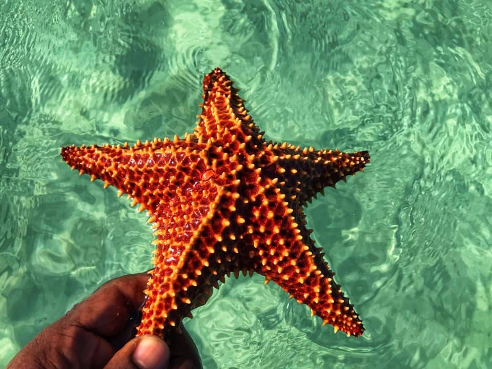 Beautiful Grenada