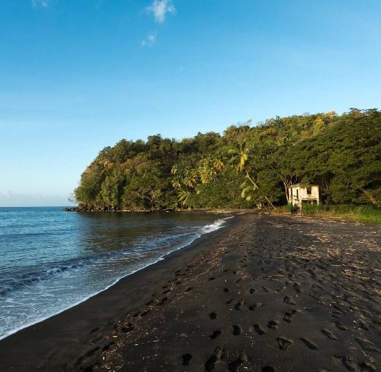 Pure Grenada