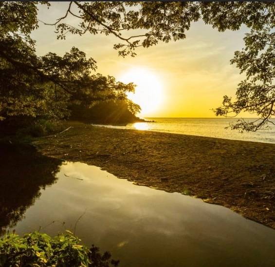 Pure Grenada
